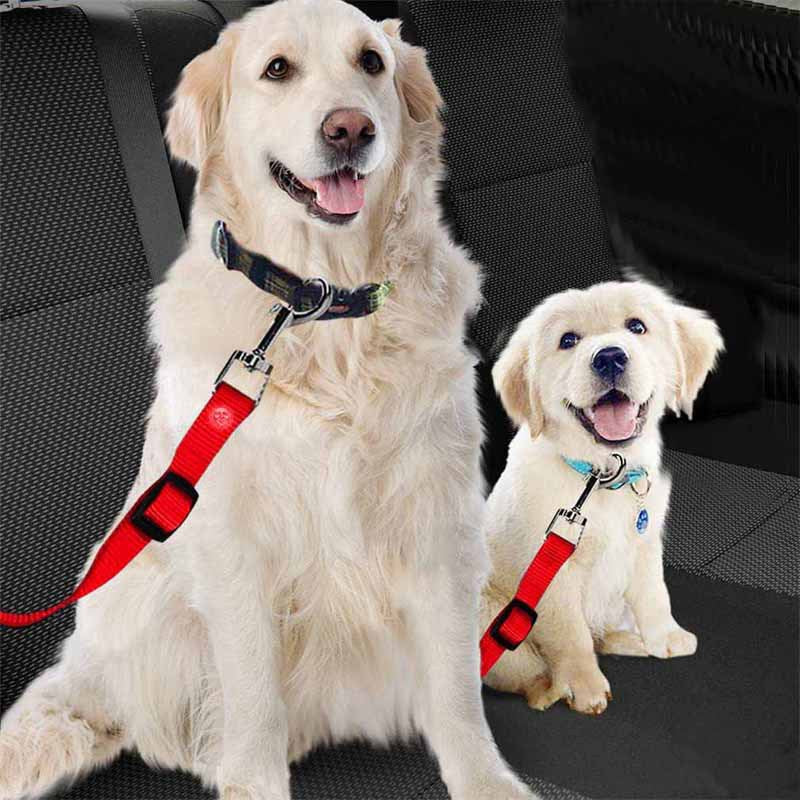 Pet Car Leash Dog Car Manufacturer Dog Leash