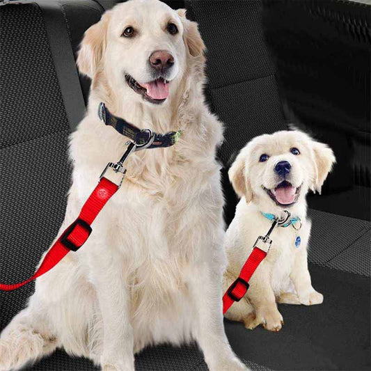 Pet Car Leash Dog Car Manufacturer Dog Leash