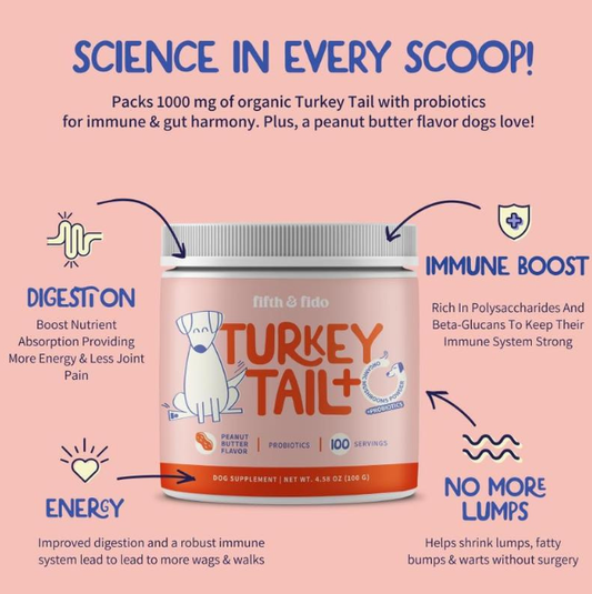 Turkey Tail Mushroom Probiotic Powder for Dogs
