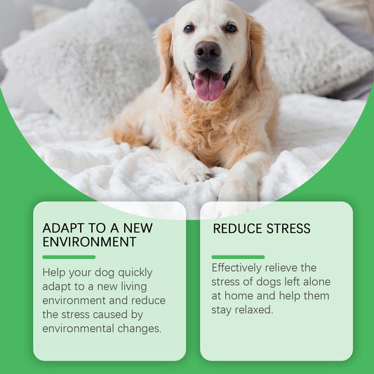 Pet Anxiety Relief Dog Emotion Diffuser