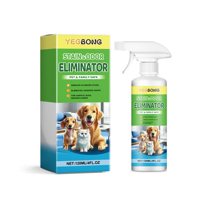 Pet Stain Remover for Cats and Dogs