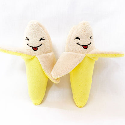 Chew Resistant Squeaky Plush Pet Toy