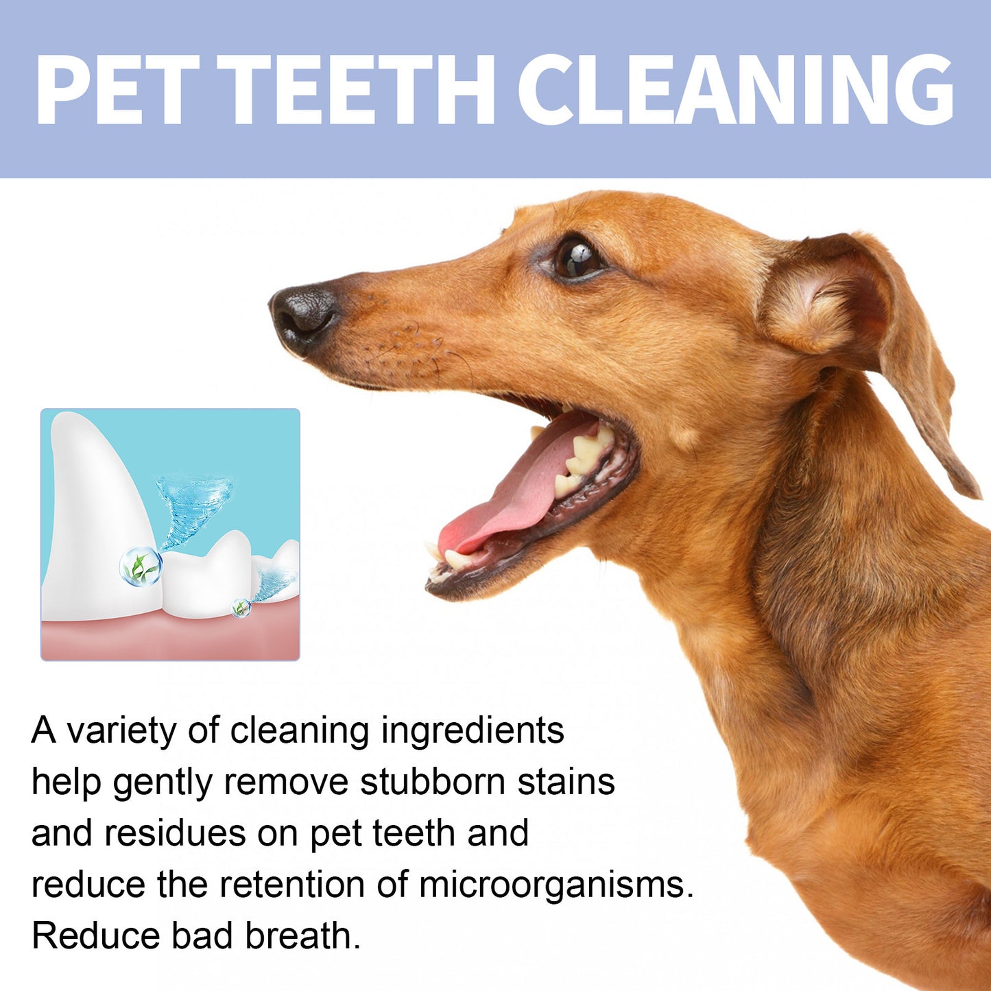 Pet Dental Cleaning Toothpaste
