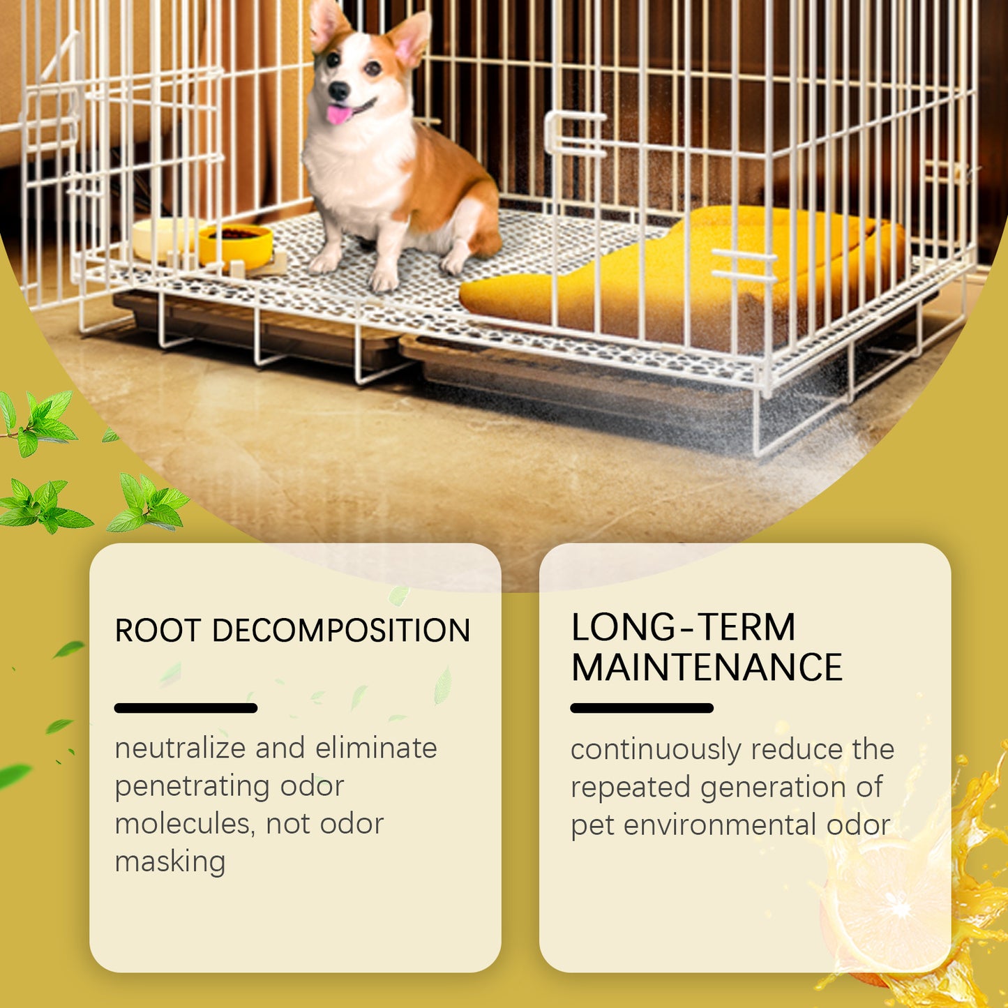 Pet Kennel Deodorant and Air Freshener