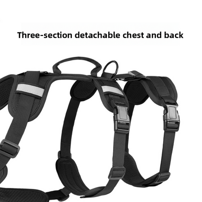 Pet Leash