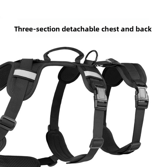 Pet Leash