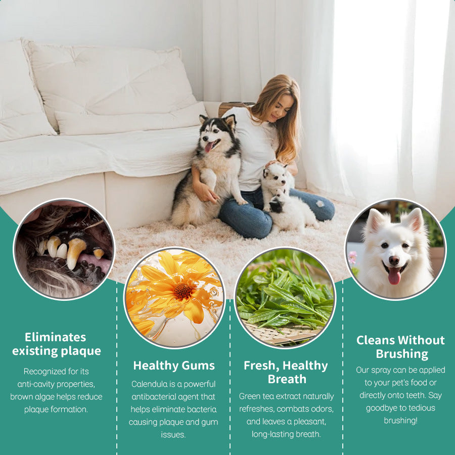 Pet Oral Care agent