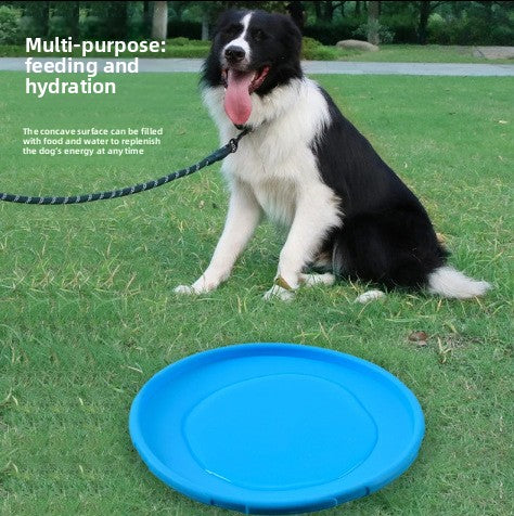 Durable Dog Training Frisbee