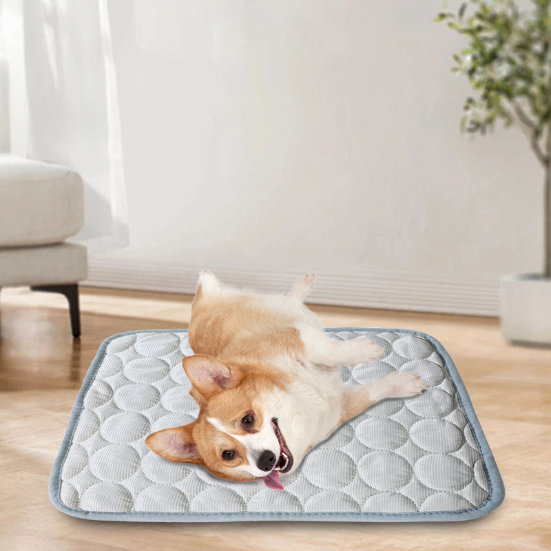 Pet Cooling Ice Mat for Summer