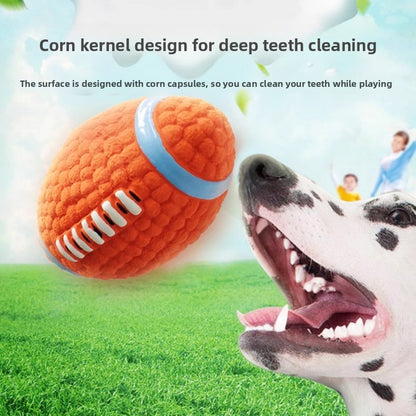 Pet Toy Ball