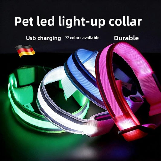 Dog Luminous Collar