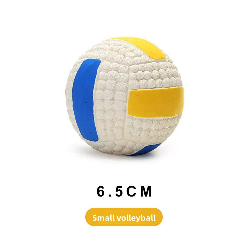 Pet Toy Ball