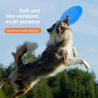 Durable Dog Training Frisbee