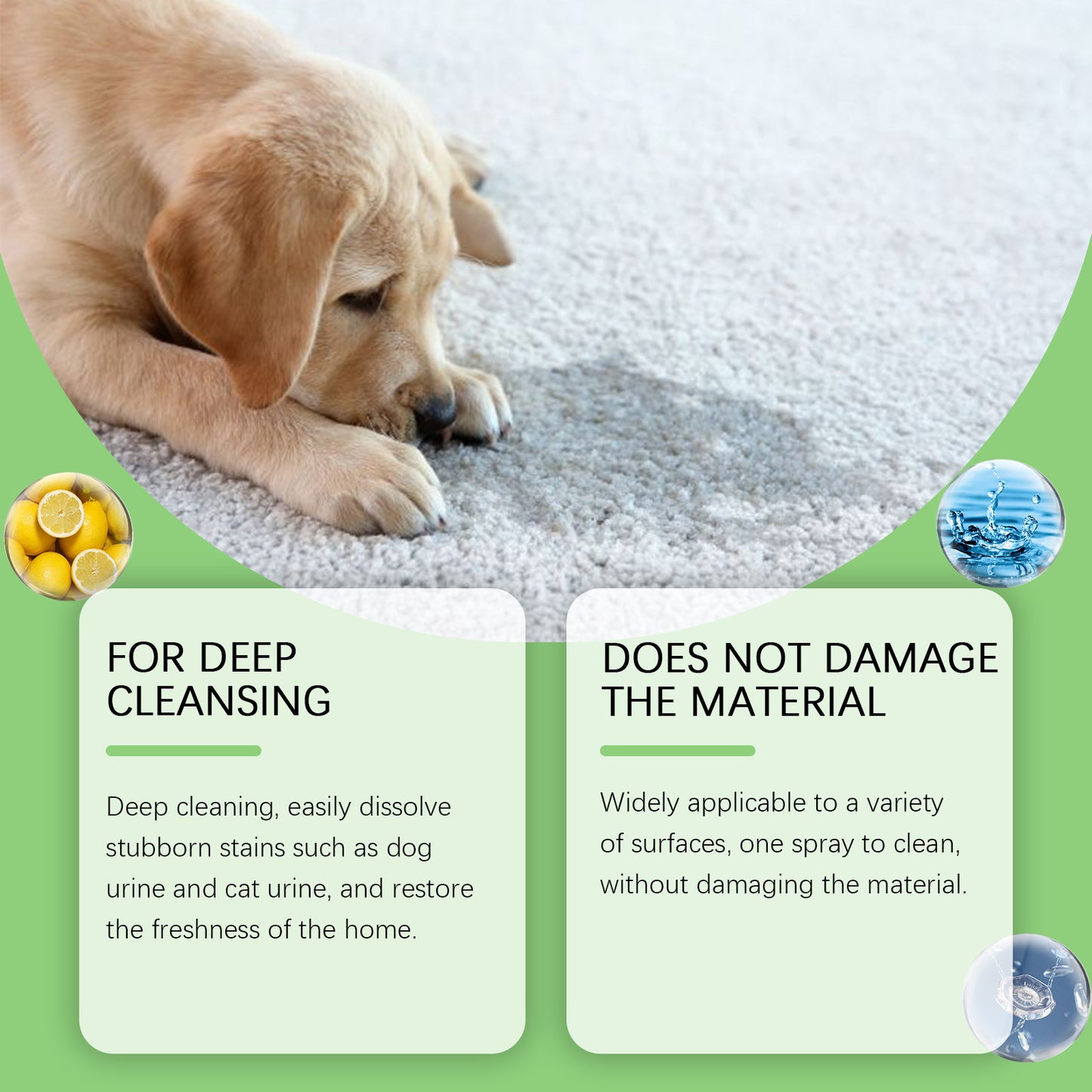 Pet Stain Remover for Cats and Dogs