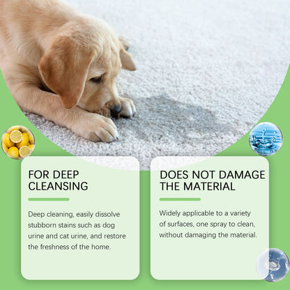 Pet Stain Remover for Cats and Dogs