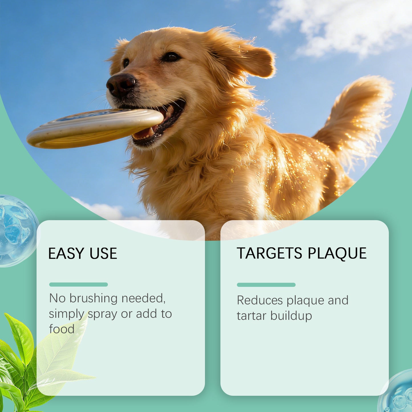 Pet Oral Spray