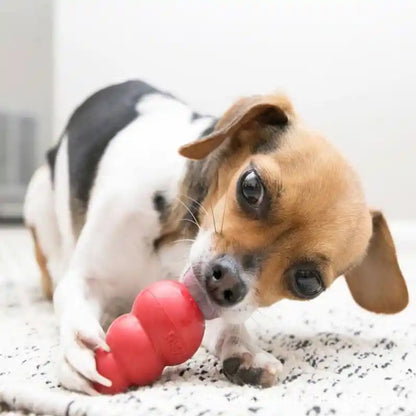Natural Rubber Dog Chew Tumbler Toy
