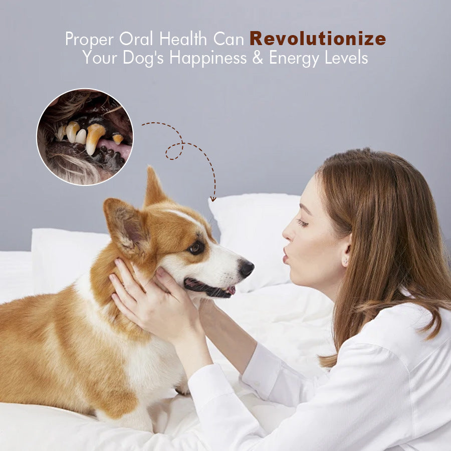 Dog Oral Care Probiotic Supplement