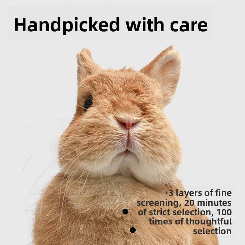 Rebes Rabbit Timothy Hay Staple Food for Small Pets