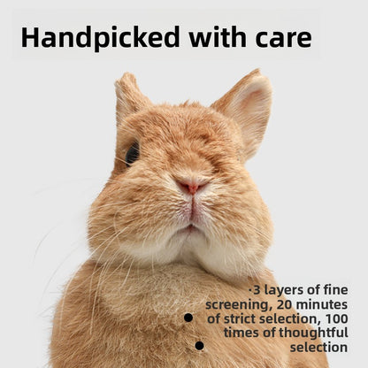 Rebes Rabbit Timothy Hay Staple Food for Small Pets
