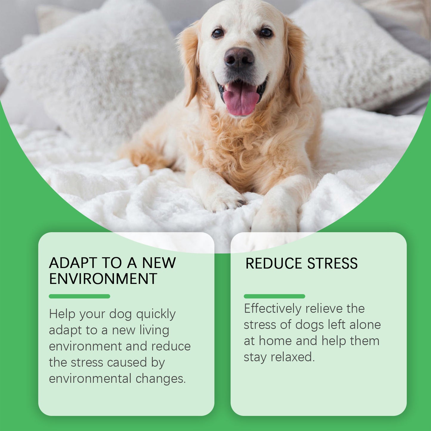 Pet Anxiety Relief Calming Spray