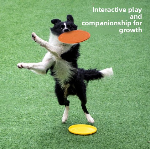 Durable Dog Training Frisbee