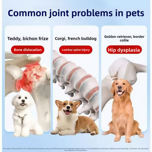 Pet Joint Health Supplement Tablets