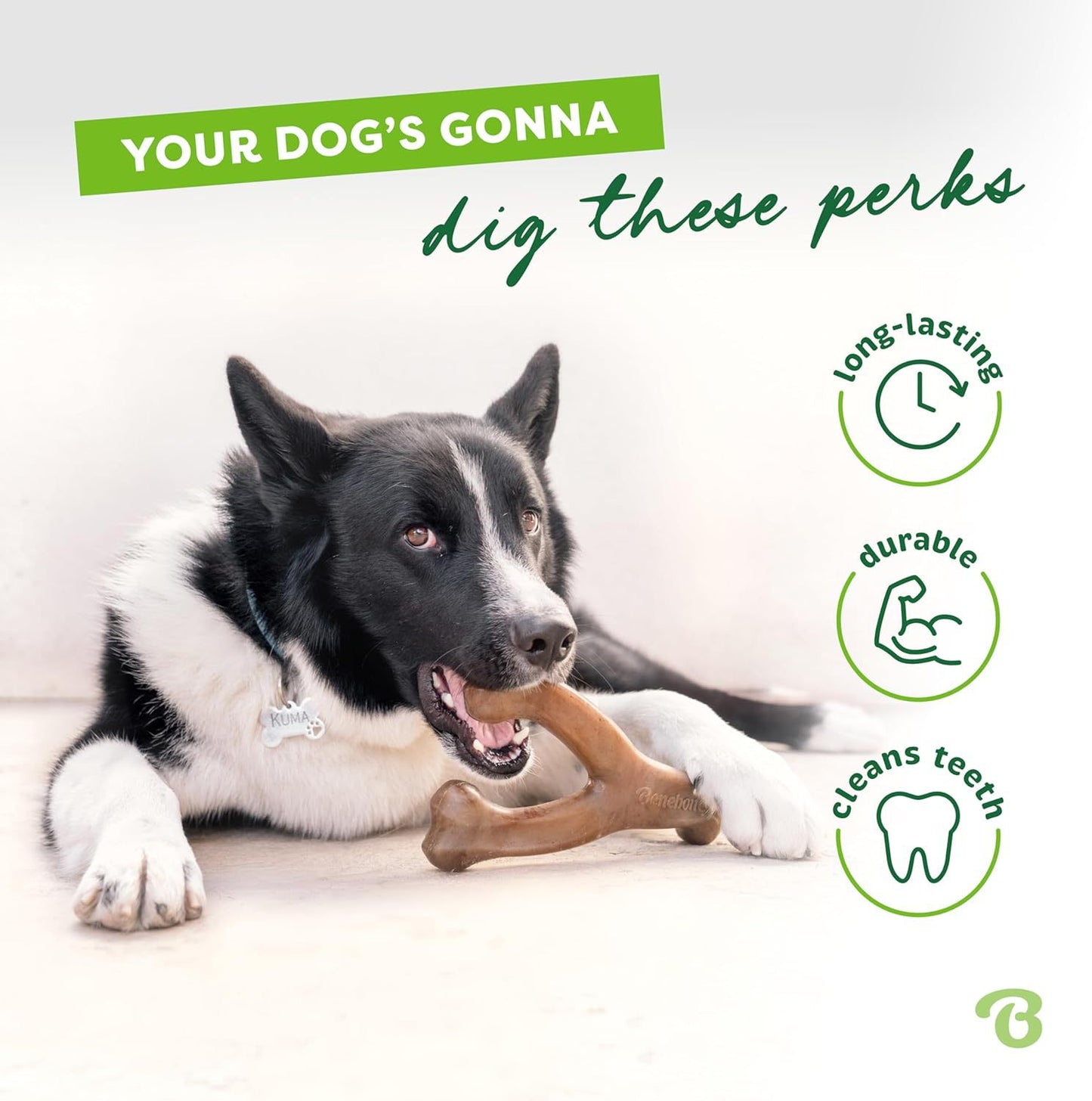 Benebone Nylon Bacon Flavor Dog Chew Bone Toy