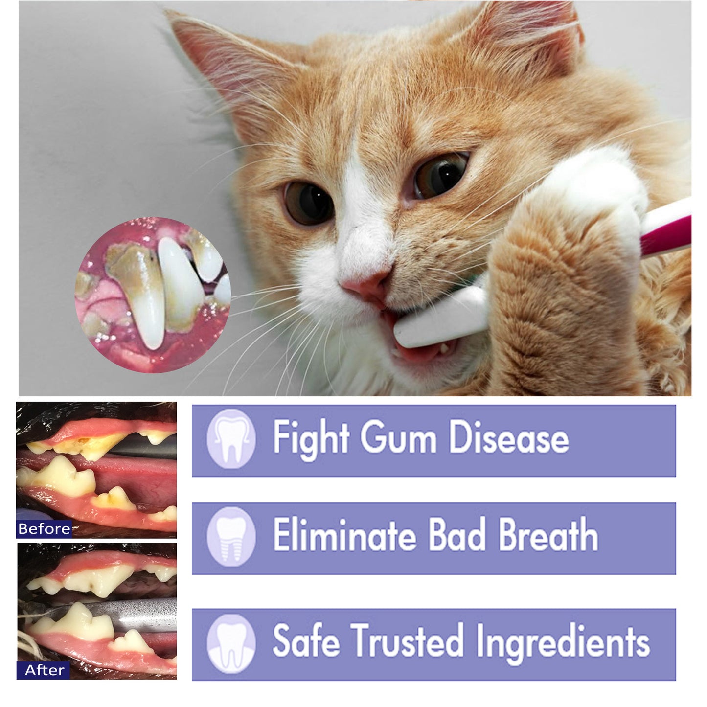 Pet Oral Cleaning Toothpaste for Cats and Dogs