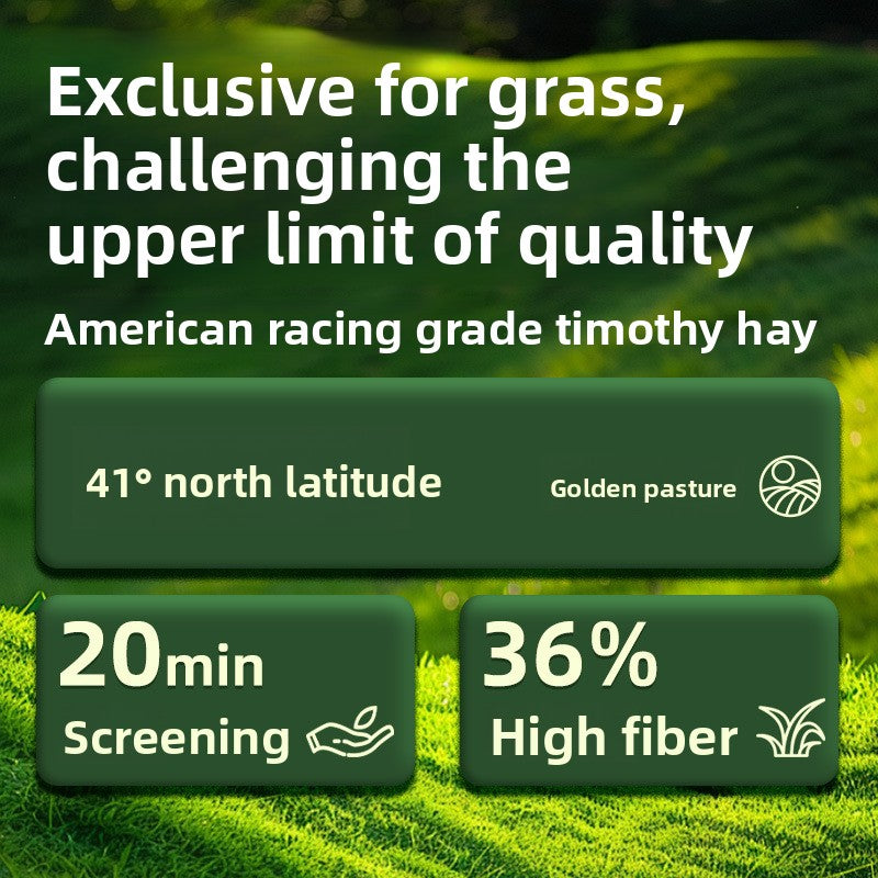 Rebes Rabbit Timothy Hay Staple Food for Small Pets